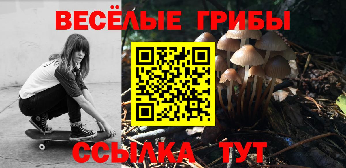 Галлюциногенные грибы Psilocybe  Вход с VPN  хочу наркоту  Псилоцибиновые грибы ЛСД  Вятские Поляны 